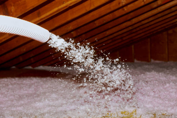 Best Geographic-Specific Insulation Services in Belle Meade, TN