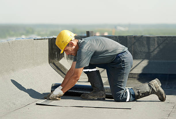 Best DIY Insulation Kits and Guidance in Belle Meade, TN
