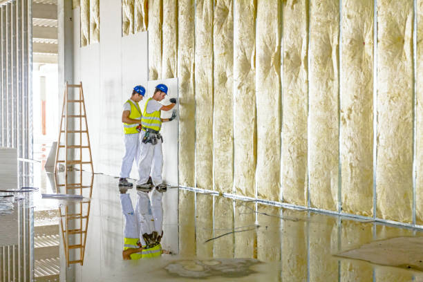 Types of Insulation We Offer in Belle Meade, TN